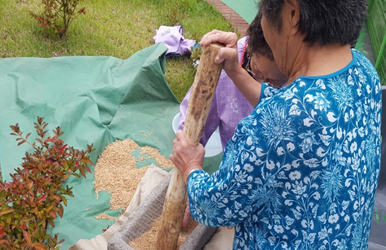 옥상정원 이미지